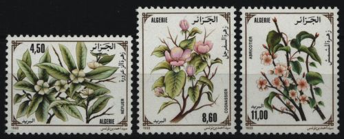 Algerien 1993 - Mi-Nr. 1085-1087 ** - MNH - Blüten / Blossoms