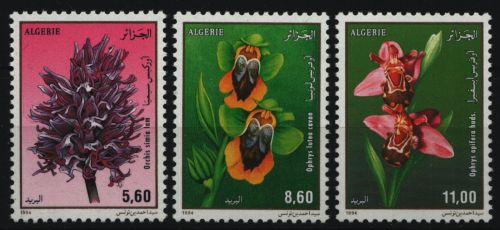 Algerien 1995 - Mi-Nr. 1105-1107 ** - MNH - Orchideen / Orchids