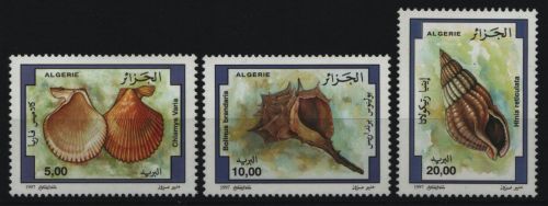 Algerien 1997 - Mi-Nr. 1198-1200 ** - MNH - Meeresschnecken / Marine snails
