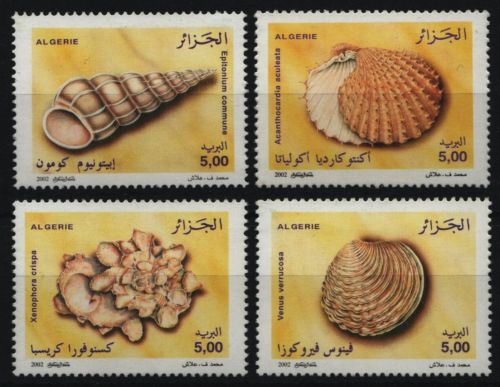 Algerien 2002 - Mi-Nr. 1379-1382 ** - MNH - Meeresschnecken / Marine snails
