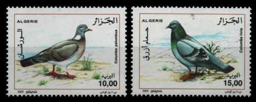 Algerien 2005 - Mi-Nr. 1443-1444 ** - MNH - Vögel / Birds