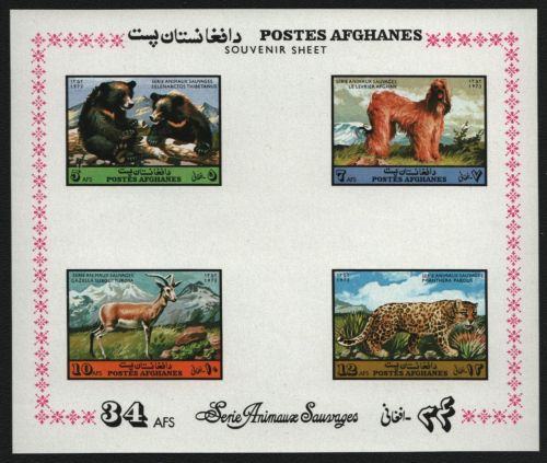 Afghanistan 1974 - Mi-Nr. Block 70 ** - MNH - Wildtiere / Wild animals