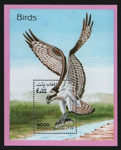 Afghanistan 1998 - Mi-Nr. Block 105 ** - MNH - Vögel / Birds