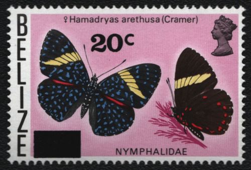 Belize 1976 - Mi-Nr. 363 ** - MNH - Schmetterlinge / Butterflies
