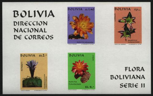 Bolivien 1971 - Mi-Nr. Block 30 ** - MNH - Blumen / Flowers