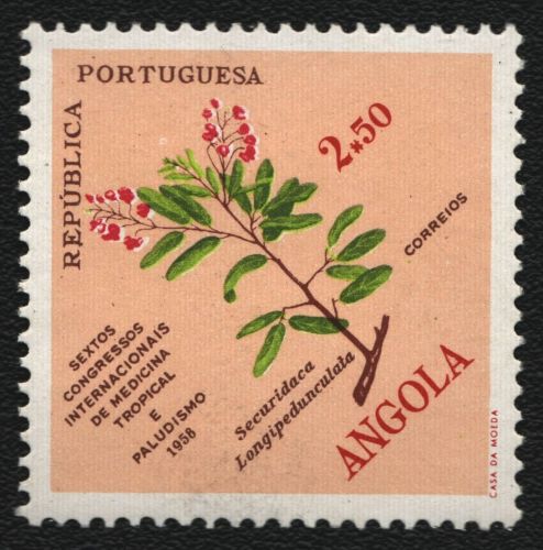 Angola 1958 - Mi-Nr. 415 ** - MNH - Pflanzen / Plants
