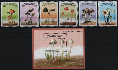 Benin 1996 - Mi-Nr. 849-854 & Block 22 ** - MNH - Pilze / Mushrooms