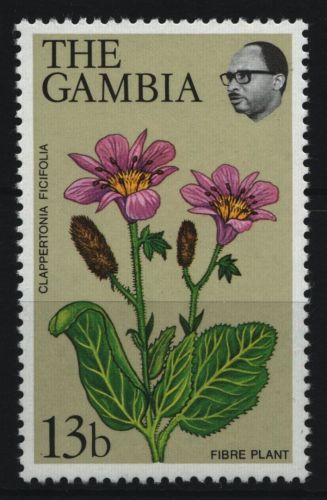 Gambia 1979 - Mi-Nr. 394 ** - MNH - Pflanzen / Plants