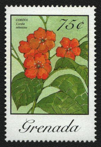 Grenada 1988 - Mi-Nr. 1910 ** - MNH - Blumen / Flowers