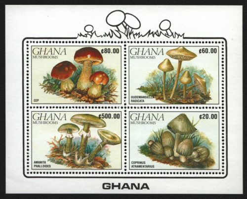 Ghana 1990 - Mi-Nr. Block 164 ** - MNH - Pilze / Mushrooms