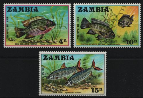 Sambia 1971 - Mi-Nr. 74-76 ** - MNH - Fische / Fish