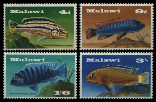 Malawi 1967 - Mi-Nr. 68-71 ** - MNH - Fische / Fish