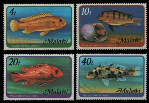 Malawi 1977 - Mi-Nr. 285-288 x ** - MNH - ohne WZ - Fische / Fish
