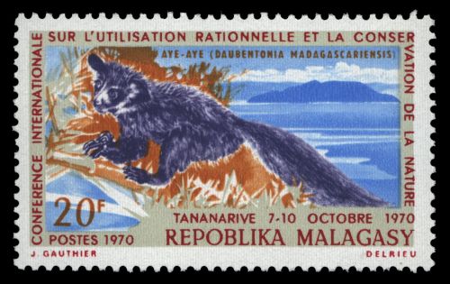 Madagaskar 1970 - Mi-Nr. 621 ** - MNH - Wildtiere / Wild animals