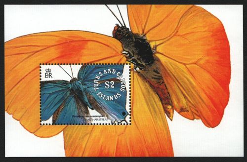 Turks- & Caicos 1991 - Mi-Nr. Block 100 ** - MNH - Schmetterlinge / Butterflies