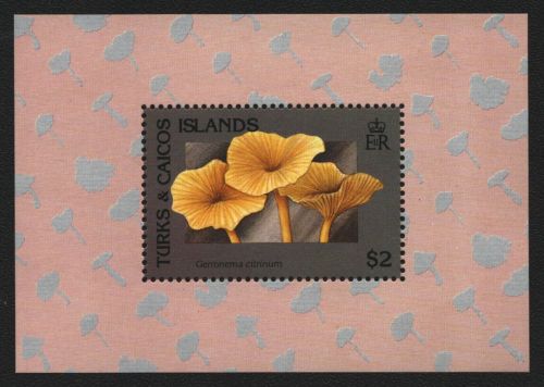 Turks- & Caicos 1991 - Mi-Nr. Block 105 ** - MNH - Pilze / Mushrooms