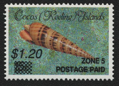 Kokos-Inseln 1991 - Mi-Nr. 244 ** - MNH - Meeresschnecken / Marine snails (II)