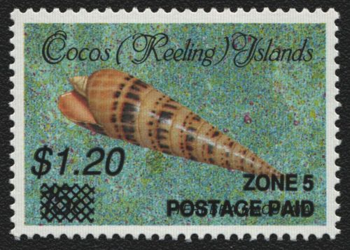 Kokos-Inseln 1991 - Mi-Nr. 244 ** - MNH - Meeresschnecken / Marine snails (III)