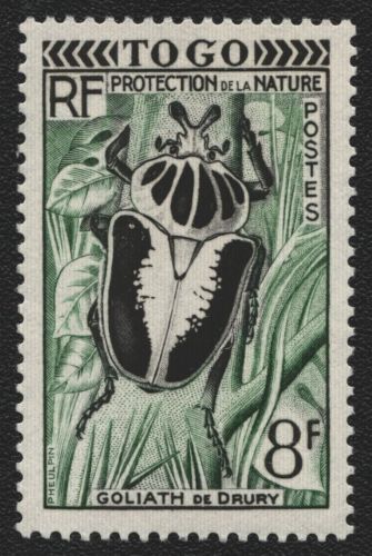 Togo 1954 - Mi-Nr. 224 ** - MNH - Käfer / Beetles