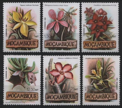 Mosambik 1981 - Mi-Nr. 865-870 ** - MNH - Blumen / Flowers