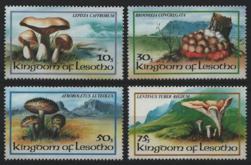 Lesotho 1983 - Mi-Nr. 411-414 ** - MNH - Pilze / Mushrooms