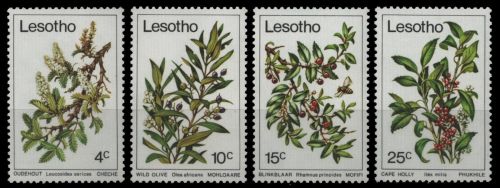 Lesotho 1979 - Mi-Nr. 266-269 ** - MNH - Pflanzen / Plants