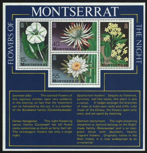 Montserrat 1977 - Mi-Nr. Block 12 ** - MNH - Blumen / Flowers