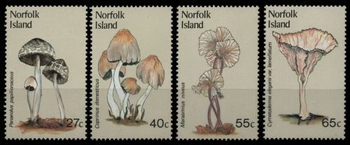 Norfolk-Insel 1983 - Mi-Nr. 302-305 ** - MNH - Pilze / Mushrooms