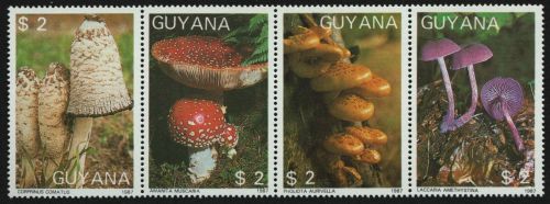 Guyana 1988 - Mi-Nr. 2080-2083 ** - MNH - Pilze / Mushrooms