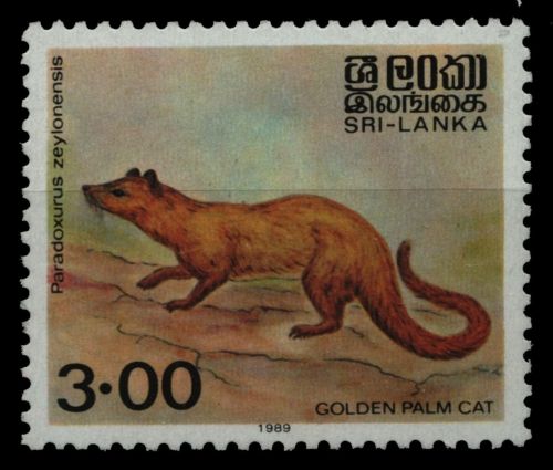 Sri Lanka 1989 - Mi-Nr. 892 ** - MNH - Wildtiere / Wild animals