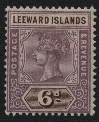 Leeward-Inseln 1890 - Mi-Nr. 5 * - MH - Queen Victoria