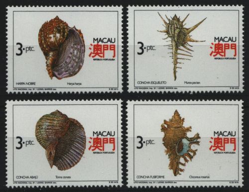 Macau 1991 - Mi-Nr. 672-675 ** - MNH - Meeresschnecken / Marine snails