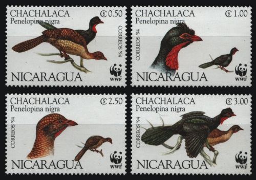 Nicaragua 1994 - Mi-Nr. 3455-3458 ** - MNH - Vögel / Birds