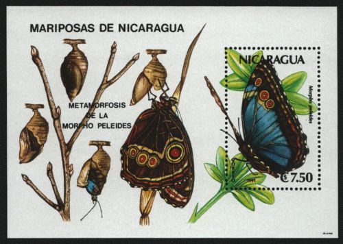 Nicaragua 1991 - Mi-Nr. Block 197 ** - MNH - Schmetterlinge / Butterflies