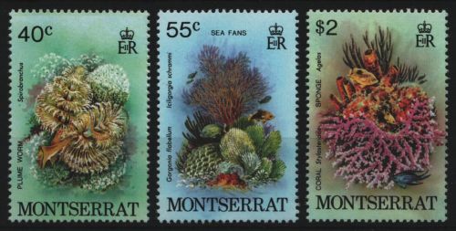 Montserrat 1979 - Mi-Nr. 410-412 ** - MNH - Meeresleben / Marine life