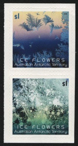 AAT / Austral. Antarktis 2016 - Mi-Nr. 245-246 ** - MNH - Eisblumen