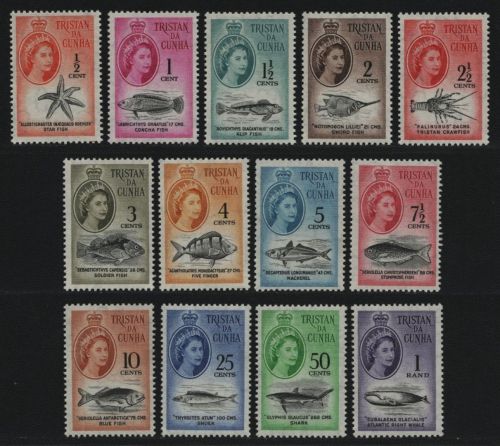 Tristan da Cunha 1961 - Mi-Nr. 42-54 ** - MNH - Meeresleben / Marine Life (II)