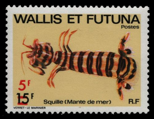 Wallis & Futuna 1981 - Mi-Nr. 399 ** - MNH - Meerestiere / Marine life