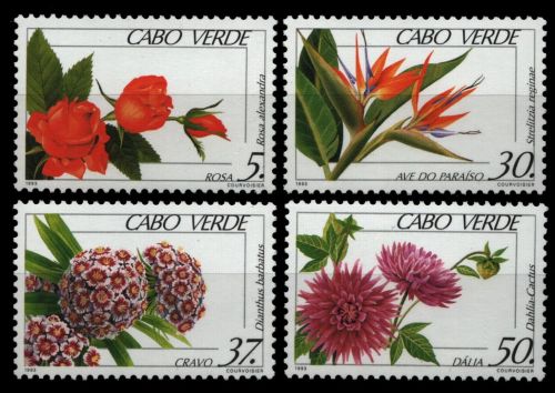Kap Verde 1993 - Mi-Nr. 667-670 ** - MNH - Blumen / Flowers