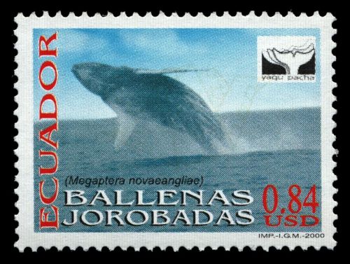 Ecuador 2000 - Mi-Nr. 2482 ** - MNH - Wale / Whales