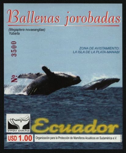 Ecuador 2000 - Mi-Nr. Block 155 ** - MNH - Wale / Whales