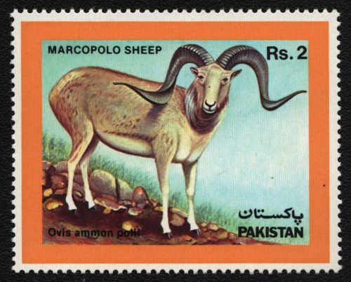 Pakistan 1986 - Mi-Nr. 681 ** - MNH - Wildtiere / Wild animals