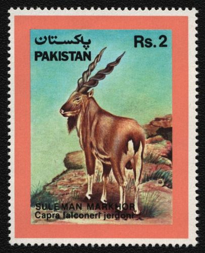 Pakistan 1988 - Mi-Nr. 731 ** - MNH - Wildtiere / Wild animals