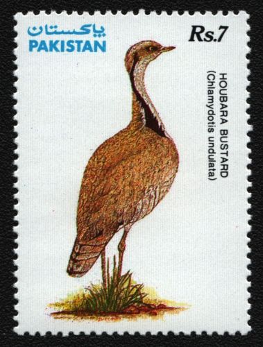 Pakistan 1991 - Mi-Nr. 830 ** - MNH - Vögel / Birds