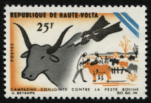 Obervolta 1966 - Mi-Nr. 197 ** - MNH - Rinderpest