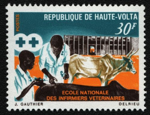 Obervolta 1970 - Mi-Nr. 304 ** - MNH - Veterinärschule