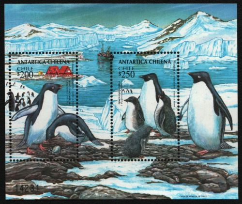 Chile 1993 - Mi-Nr. Block 31 ** - MNH - Pinguine / Penguins