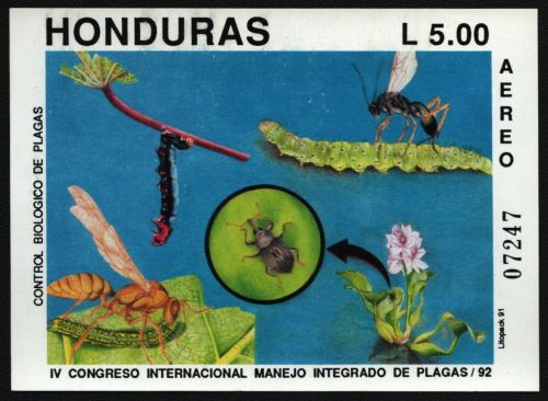 Honduras 1991 - Mi-Nr. Block 50 ** - MNH - Insekten / Insects