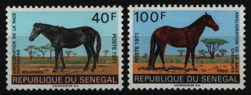 Senegal 1971 - Mi-Nr. 448-449 ** - MNH - Pferde / Horses
