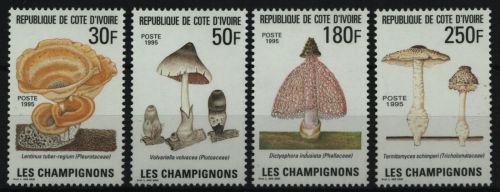 Elfenbeinküste 1995 - Mi-Nr. 1142-1145 ** - MNH - Pilze / Mushrooms